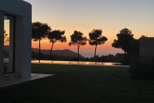 Luxury Villa in Ibiza with Palm Trees and infinity pool